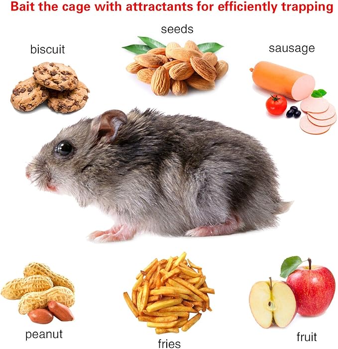Moclever Humane Rat Trap – Live Catch & Release Mouse Trap for Indoor & Outdoor Use | No-Kill Metal Cage for Chipmunks, Small Rats, Voles, Hamsters | Durable & Reusable Rodent Trap