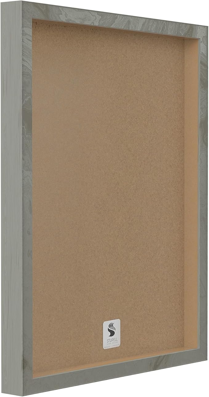 Stupell Industries Botanical Plant Illustration Seeds Vintage Design Grey Framed Wall Art, Multi-Color, 16x20 (fap-219_gff_16x20)