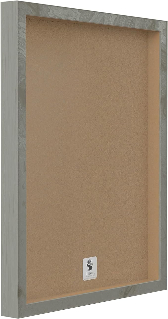 Stupell Industries Botanical Plant Illustration Seeds Vintage Design Grey Framed Wall Art, Multi-Color