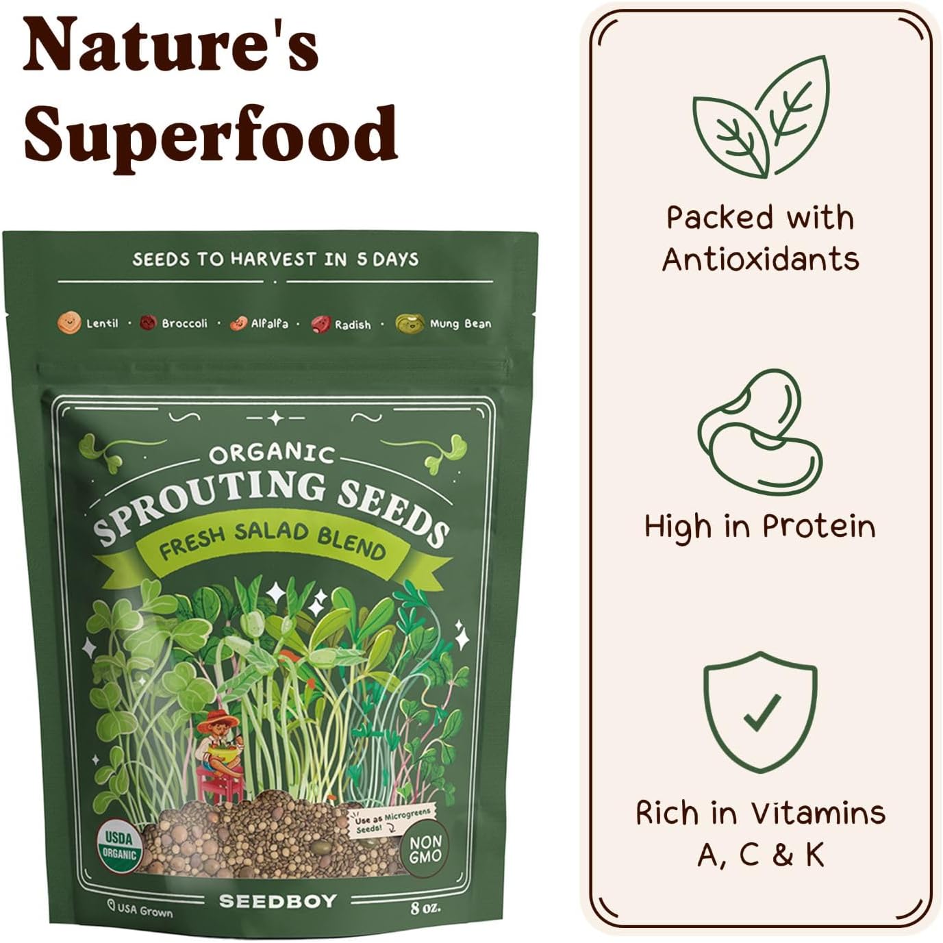 Seedboy Organic Non-GMO Sprouting Seeds, Fresh Salad Blend – USA Grown Microgreens Mix with Alfalfa, Broccoli, Radish, Mung Bean & Lentil – 8 oz Bag Makes 8 Quarts / 24 Servings (Salad Blend)