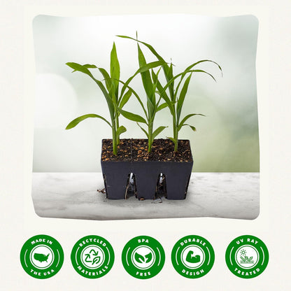 Epic Gardening Reusable Seed Starter Tray - 6 Cell/120 Seedling Starter Trays - Easy Watering, Indoor Greenhouse, Plant Starter, Gardener-Friendly for Seedlings | UV-Treated & BPA-Free - Black