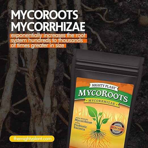 Organic MycoRoots Ultra-Concentrated Mycorrhizal Fungi Root Enhancer – 500 Spores/Gram for Optimal Plant Growth & Health | Boost Soil Nutrient Absorption (1, Pounds)