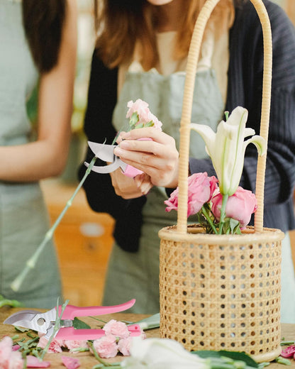 Pruning Shears for Gardening, 2 Pack Garden Scissors for Cutting Fresh Flowers, Floral Clippers for Plants, Fruits (Pink)