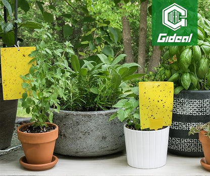 Gideal 20-Pack Dual-Sided Yellow Sticky Traps for Flying Plant Insect Such as Fungus Gnats, Whiteflies, Aphids, Leafminers,Thrips - (6x8 Inches, Included 20pcs Twist Ties)