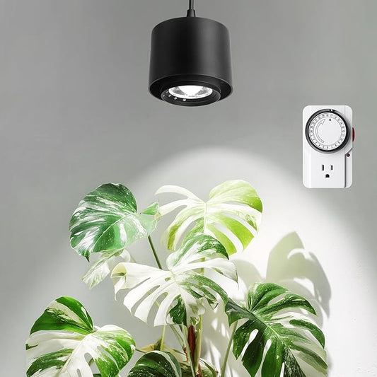 Barrina TR40 Hanging Grow Lights for Indoor Plants, 40W 5000K Full Spectrum, Adjustable Beam Angle, High PPFD, Spotlight Grow Light with Timer for Indoor Growing, Large Tall Plant, Flowers