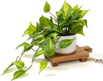 Kurrajong Farmhouse Dark Green Fake pothos | Fake Plant for Shelf Decor | Artificial Trailing Ivy Plant with 5" Wide x 3.5" high Ceramic Pot Faux pothos Plant for Floating Shelves
