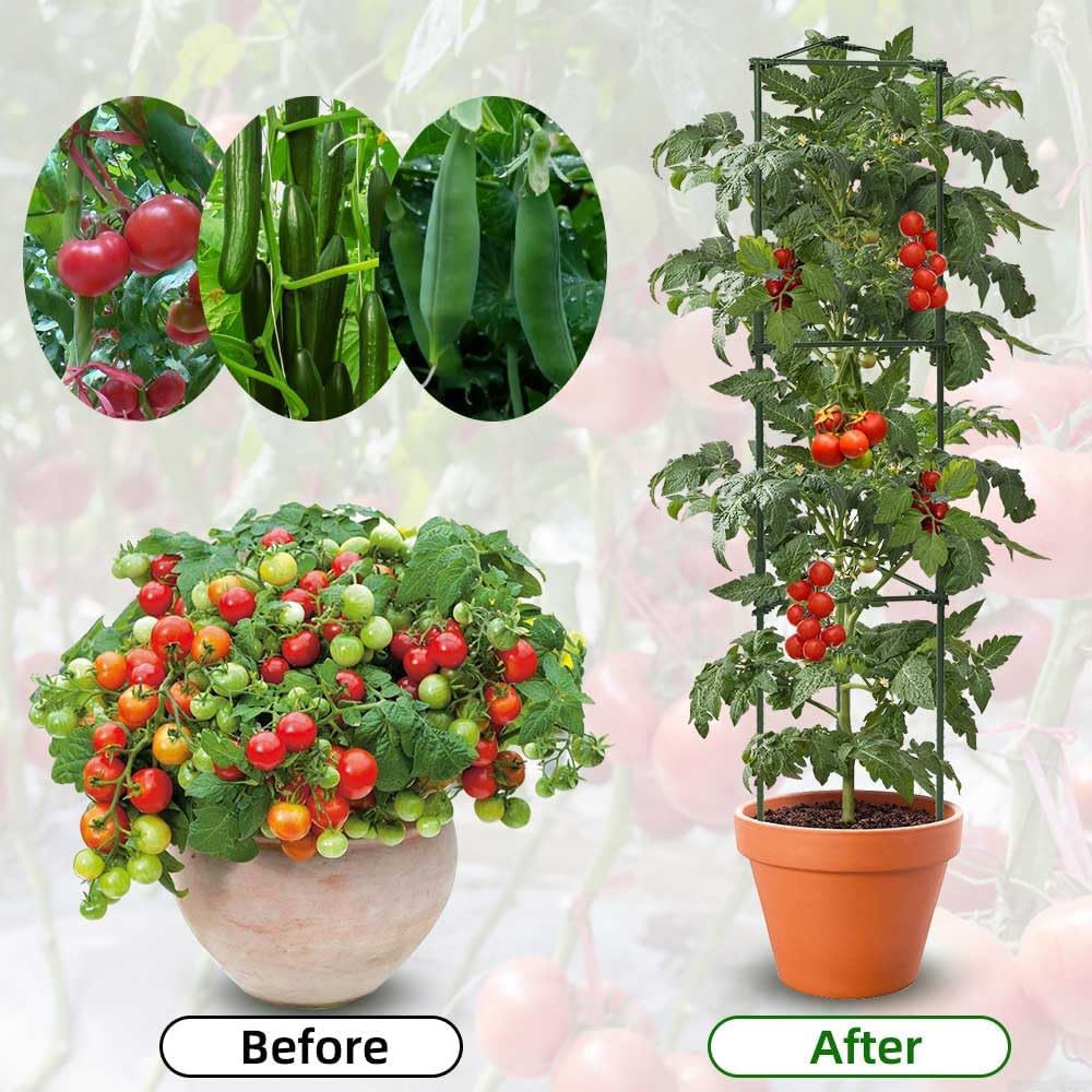 6 Package up to 48in Tomato cage Garden Grid Plant Support Posts with Adjustable Tomato cage Vegetable Grid (6pack)