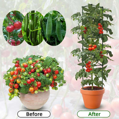 6 Package up to 48in Tomato cage Garden Grid Plant Support Posts with Adjustable Tomato cage Vegetable Grid (6pack)