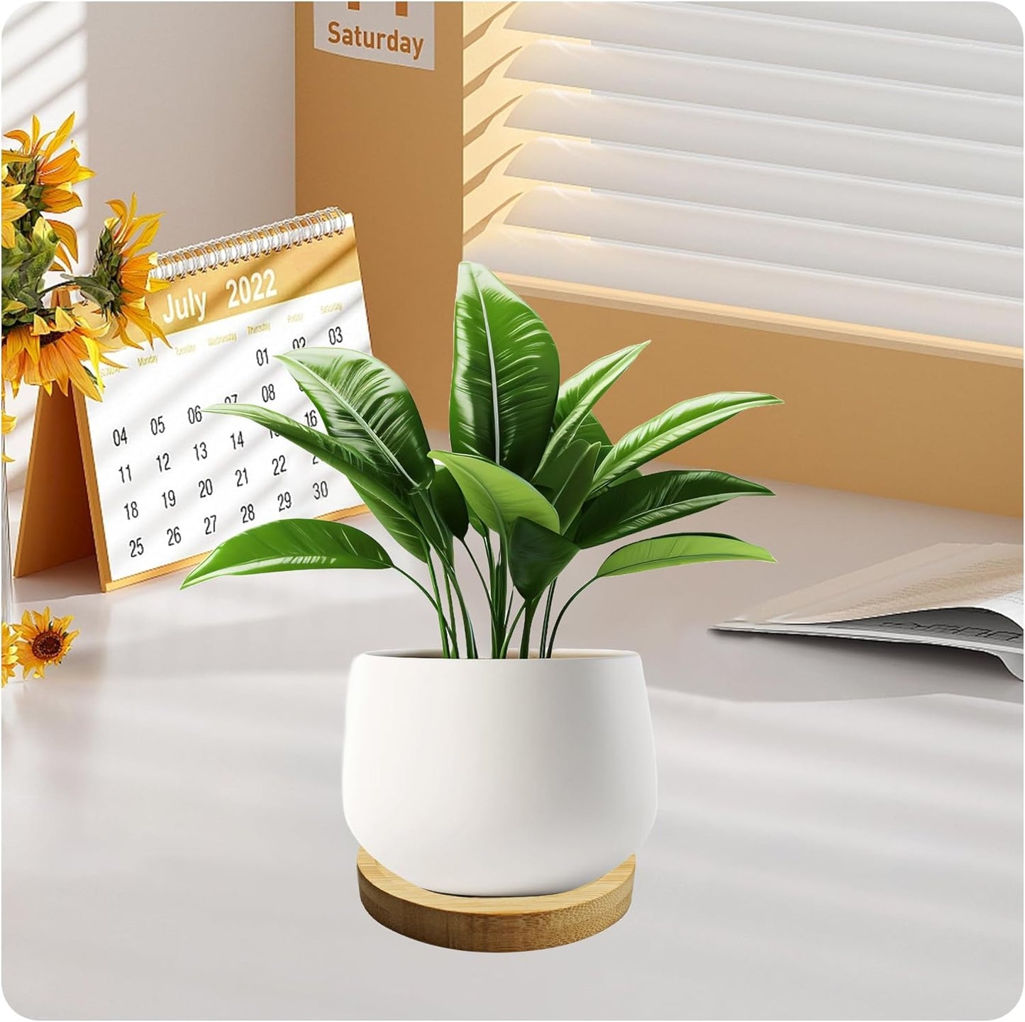 6Pcs 3” Bamboo Plant Saucer, Round Pot Tray for Indoor Planters, Succulent Holder Drainage Tray, Versatile Coaster Set for Home Office Decor