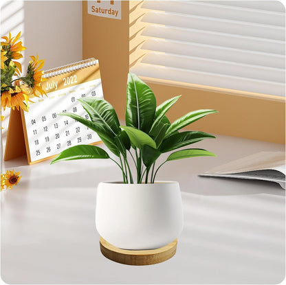 6Pcs 3” Bamboo Plant Saucer, Round Pot Tray for Indoor Planters, Succulent Holder Drainage Tray, Versatile Coaster Set for Home Office Decor