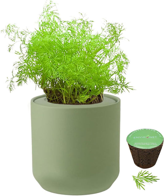 Hydroponic Herb Growing Kit, Self-Watering Kitchen Herb Garden Starter Kit with Green Ceramic Pot and Seeds (Dill)