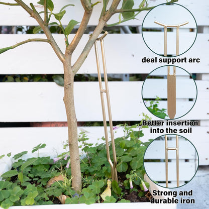 3PCS Plant Support Stakes – Durable Gold Metal Supports for Monstera, Philodendron & More - Ideal Trellis Structures for Indoor & Outdoor Gardening - Perfect for Small to Tall Plants