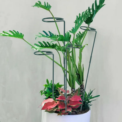 Plant Stake Support - 6 Pack Adjustable Height 12" or 24", Garden Support Stake Plant Cage Support Rings, Single Stem Plant Support Stakes, for Flowers Amaryllis Tomatoes Peony Lily Rose (24inch)