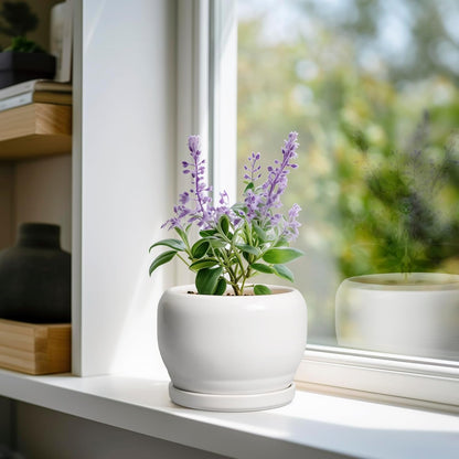 SQOWL Ceramic Flower Pots - 6 Inch Plant Pot Indoor Outdoor, Ceramic Planter with Drainage Hole and Saucer, Modern Round Succulent Planter, Bookshelf Decor, House Warming Gifts New Home, White