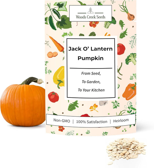 Woods Creek Seeds: Jack O Lantern Pumpkin Seeds for Planting - Over 40 Heirloom Non-GMO Pumpkin Seeds to Plant - Ideal Heirloom Seeds to Grow for Decor & Fall Harvest - Pumpkins for Outdoor Gardens