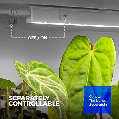 Barrina T5 Grow Lights for Indoor Plants, 4FT 160W (8 X 20W) Full Spectrum Grow Light with Separate Switch, Linkable Grow Lamp, Indoor Plant Lights for Growth, Plug and Play, 5000K, 8 Packs