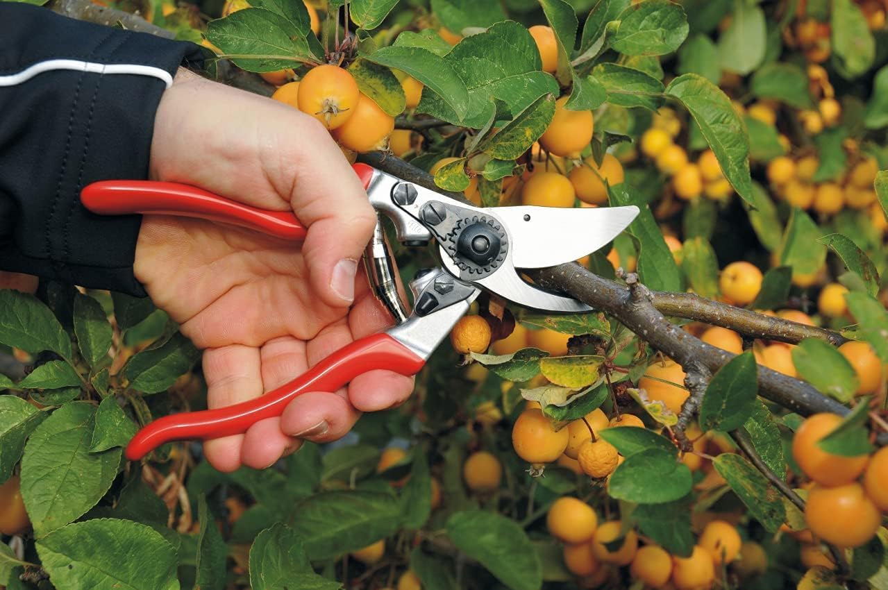 Felco F9 Pruning Shears – 8.3" Swiss-Made Left-Handed Garden Clippers with 1" Cutting Capacity | Hand Pruners for Gardening | Garden Tool Cutter with Precision Bypass Blade, Forged Aluminum Handles