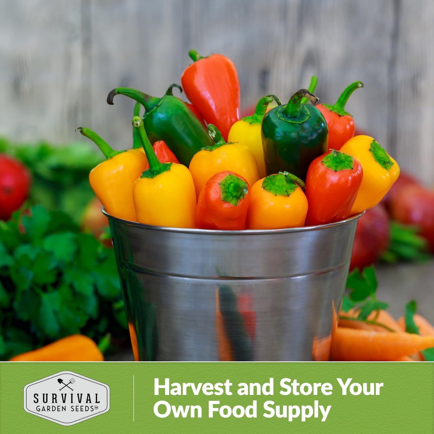 Patio Snack Mix Mini Sweet Pepper Seeds for Planting | Compact Lunchbox-Style Heirloom Variety – Non-GMO Container Garden Peppers – Survival Garden Seeds (1 Pack)