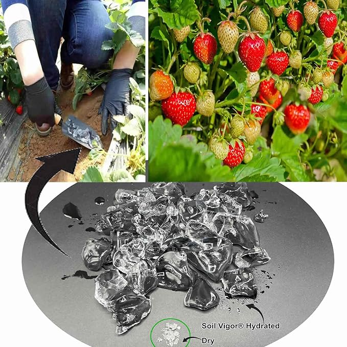 Potassium Polyacrylate for Garden Lasts Up to 7 Years in Soil (20)