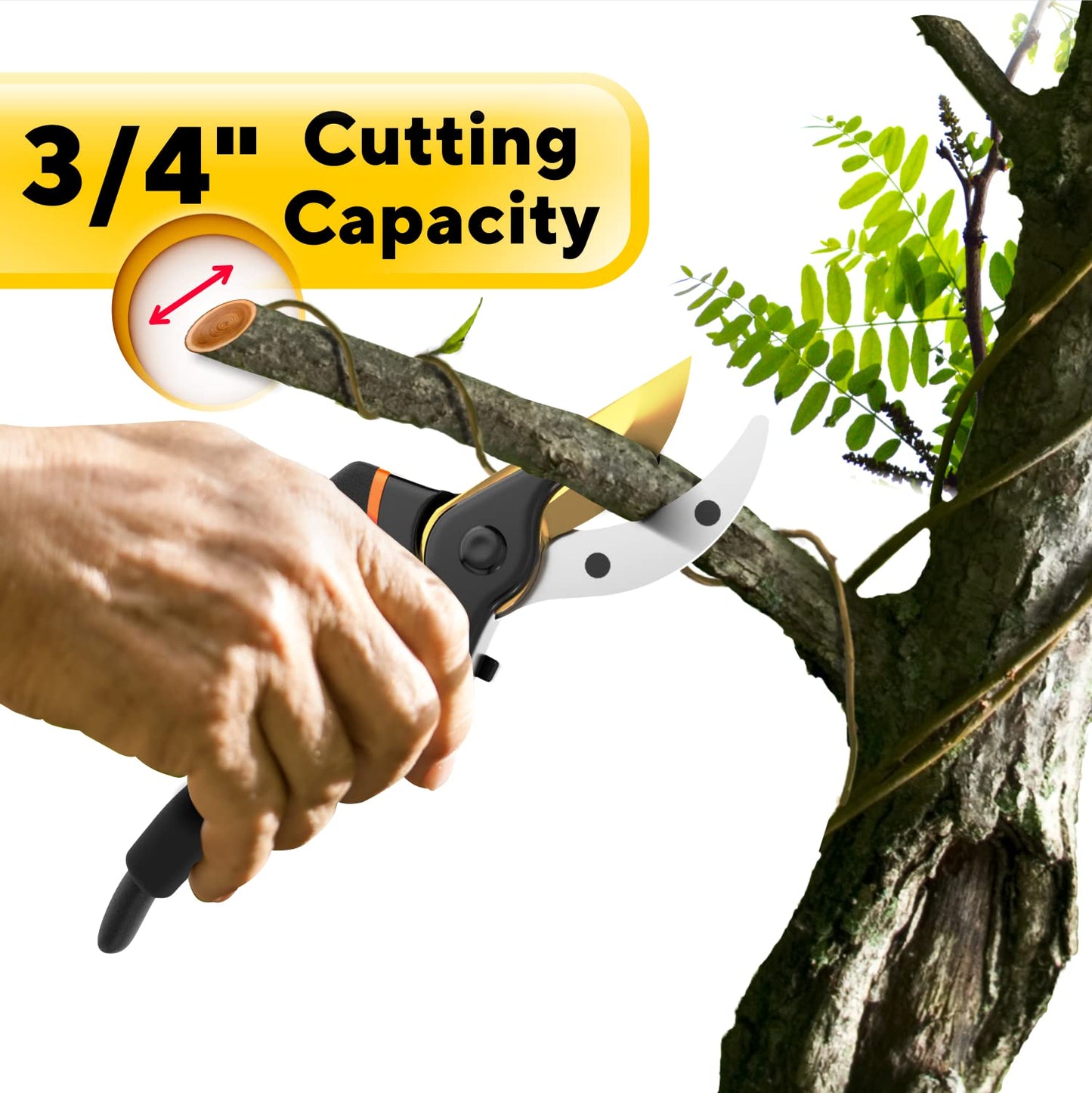 Premium Bypass Pruning Shears for your Garden - Heavy-Duty, Ultra Sharp Pruners w/Soft Cushion Grip