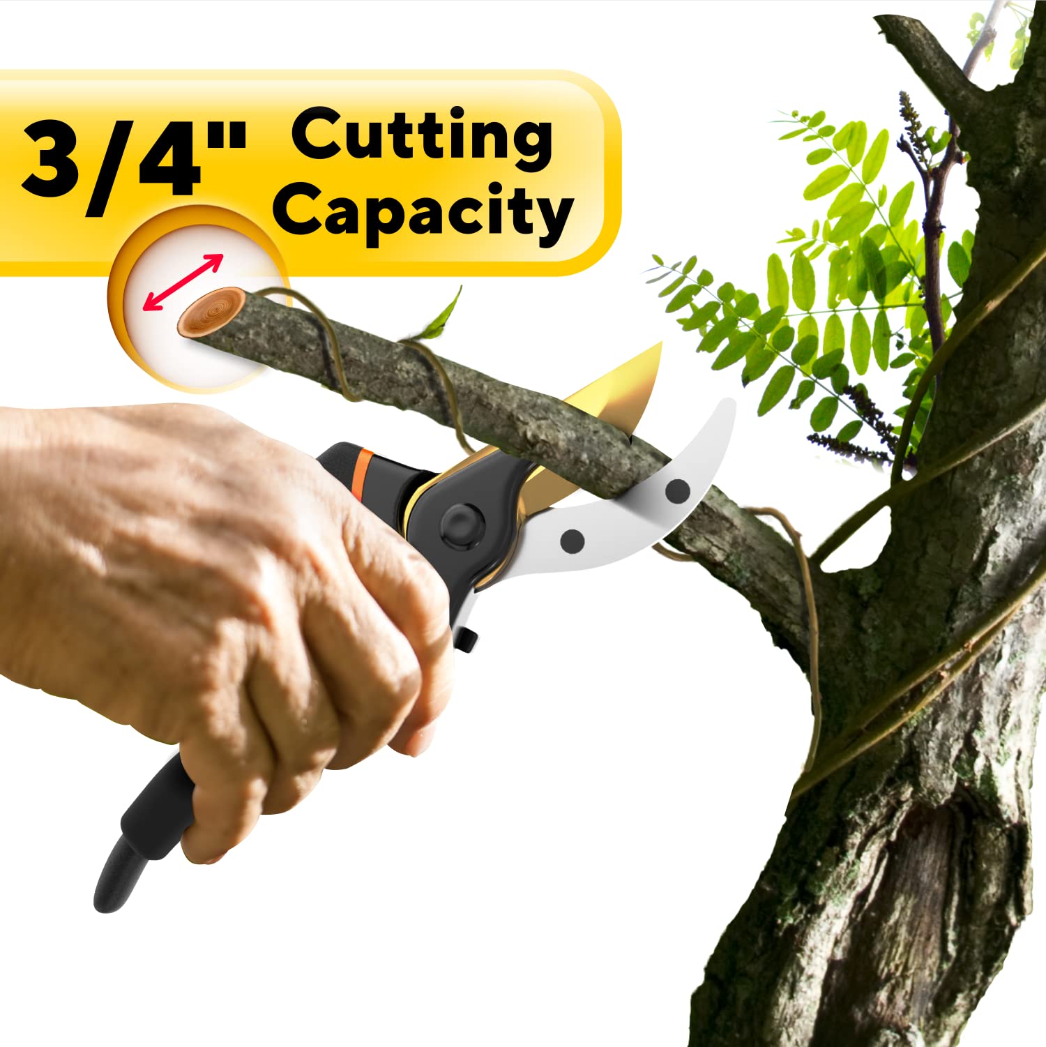 Premium Bypass Pruning Shears for your Garden - Heavy-Duty, Ultra Sharp Pruners w/Soft Cushion Grip