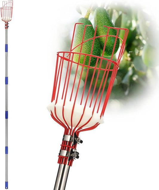 DnSail Fruit Picker Pole Tool with Basket Telescoping - Adjustable Mango Picker 35-68 inch Long Handle - Apple Orange Avocado Acorn Lemon Pear Pomelo Chery Picker for Tree