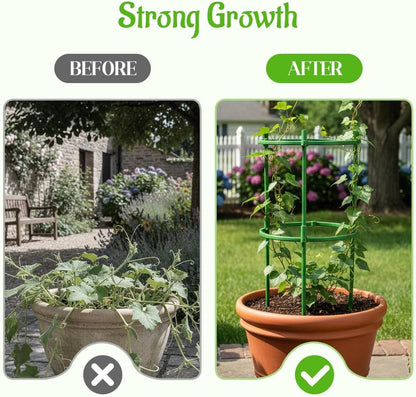 Plant Support Stakes, 2025 Upgraded Tomato Cages for Garden, Garden Flower Stakes, Round Plants Support for Indoor Outdoor Climbing Plants Vegetable Flower Pot (6, Green)