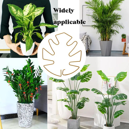 Spiritlele 5 Pcs Yellow Plant Stem Support Holder Set Monstera Plant Support Clamp Growth Accessories for Indoor Plants Big