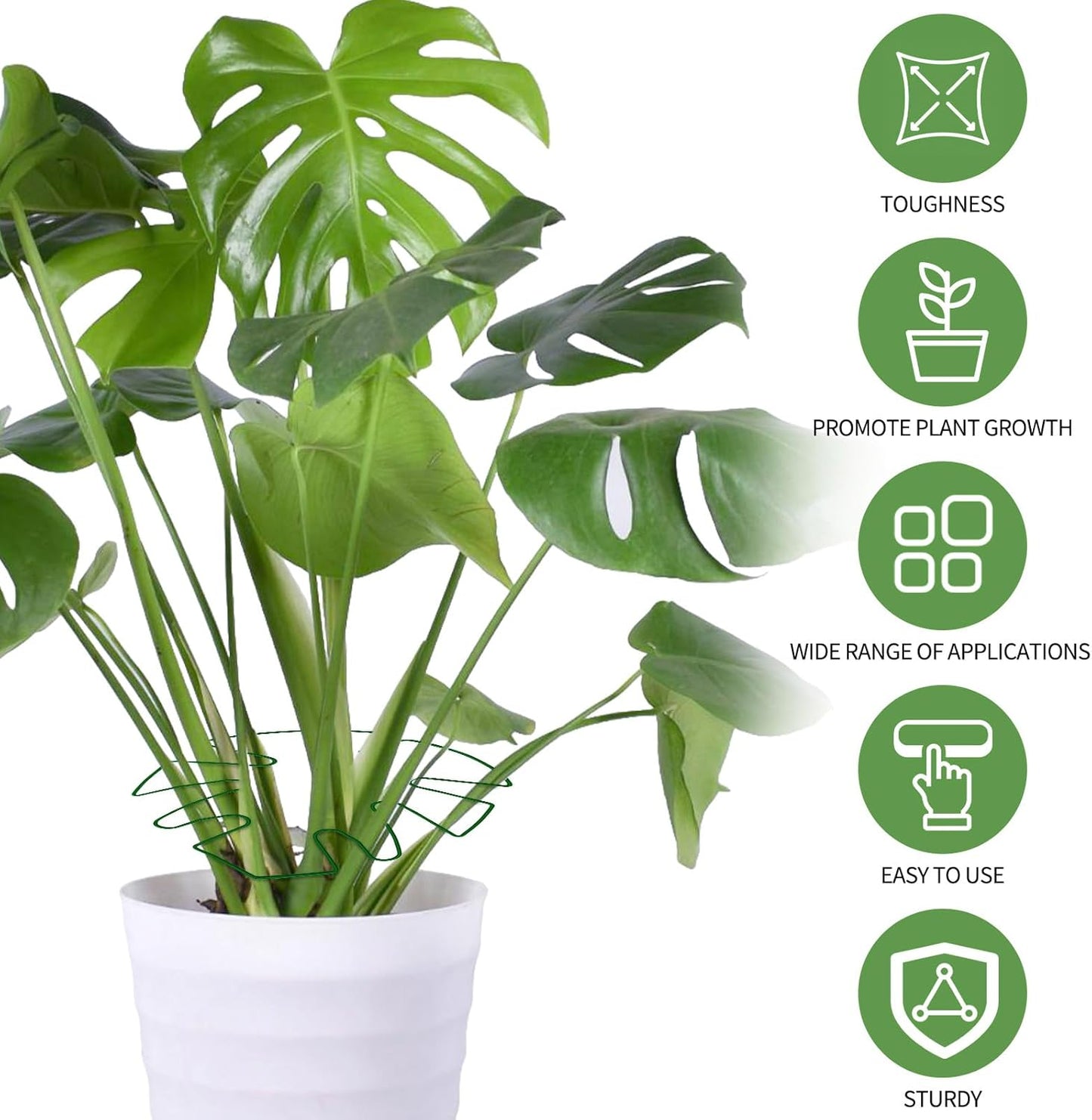Spiritlele 5 Pcs Green Plant Stem Support Holder Set Monstera Plant Support Clamp Growth Accessories for Indoor Plants Big