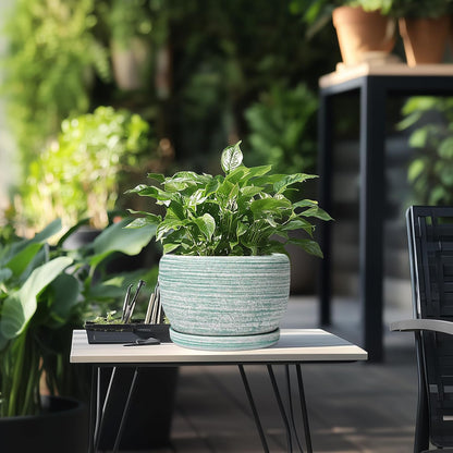 SQOWL Ceramic Planters for Indoor Plants - 8 inch Plant Pot Outdoor, Ceramic Flower Pot with Drainage Hole and Saucer, Round Modern Planter, Living Room Apartment Decor, Birthday Gifts, Green