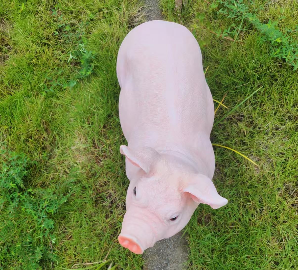 HOUDE Cute Pig Statues, 20.08 inches Long, decorates Outdoor Art Gardens, courtyards, lawns, and Indoor Public Spaces Such as Living Rooms and Balconies. (Pink)
