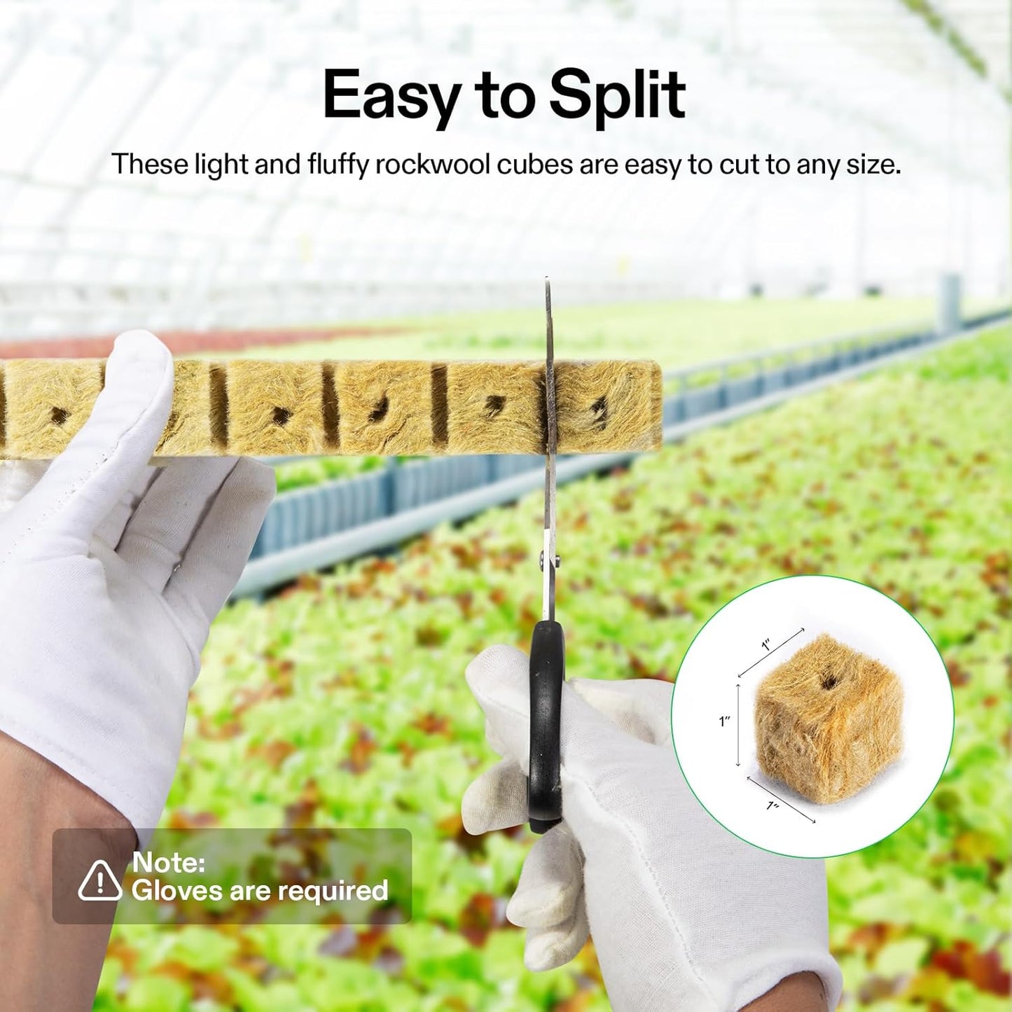 VIVOSUN 1" Rockwool Cubes, 200 Plugs Stonewool Starter Grow Cubes for Cuttings, Cloning, Plant Propagation, Seed Starting, Hydroponic Grow Media for Vigorous Plant Growth, 4 Sheets of 200 Plugs