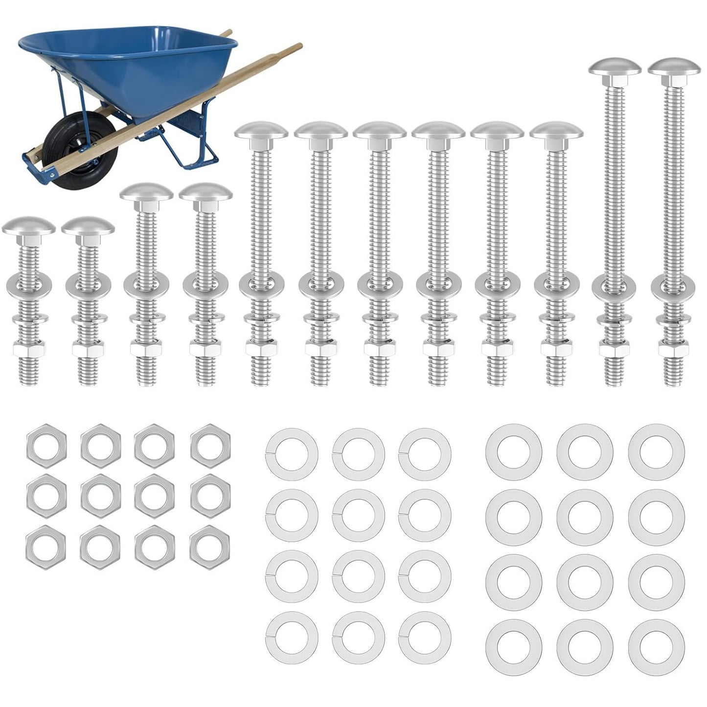 Wheelbarrow Handles Bolts Kit Replacement Wheelbarrow Rebuild 5/16 Stainless Carriage Nuts and Bolts Kit, Furniture Repair,Beds Sofa Table Chairs - 12 Pack