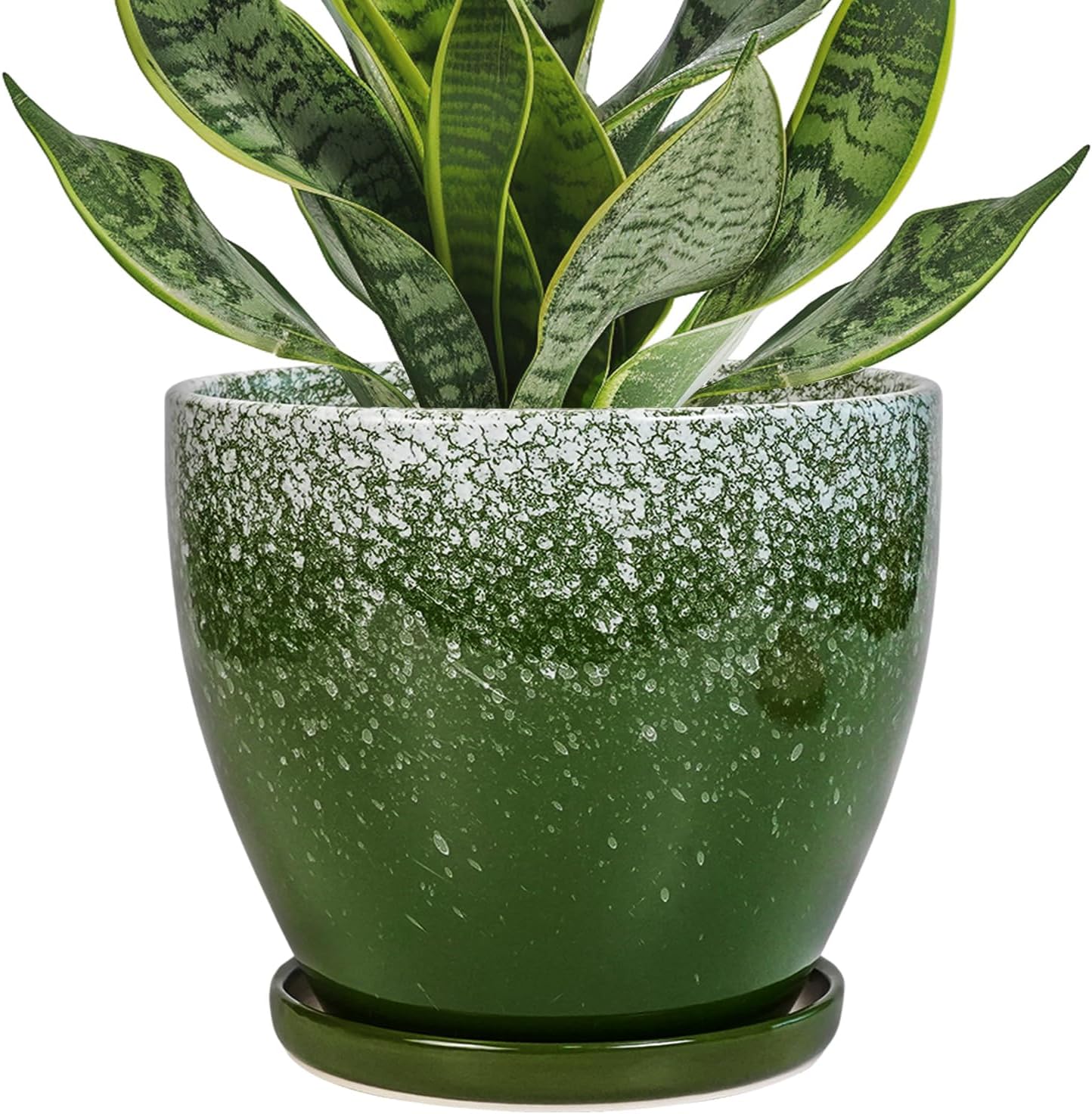 Ceraimc Plant Pot - 6 Inch Planter with Drainage and Plant Tray, Round Succulent Planters, Decorative Flower Pot for Indoor, Room Office Patio House Decor, Gifts for Women Men, Green