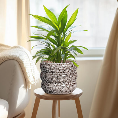 SQOWL Ceramic Plant Pots - 8 Inch Ceramic Planter for Indoor Plants Outdoor, Round Planter with Drainage Hole, Round Decorative Flower Pots, Living Room Office Garden Decor, Gardening Gifts, White