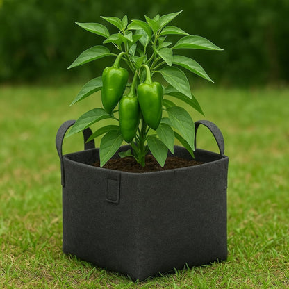 Square Geo Fabric Grow Bag 400 GSM Durable Breathable UV Resistant Reusable Plant Container for Herbs, Vegetables Flowers Space Saving Gardening Pack of 2 (Green, 15 inch) (Black)