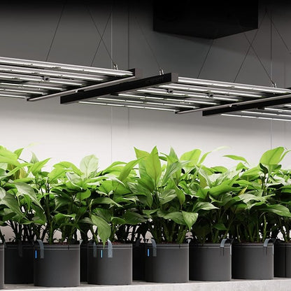 AC Infinity IONFRAME EVO10, Samsung LM301H EVO Bar LED Grow Light 5x5, 3710 Diodes, with Schedule Controller, 1000W Full-Spectrum Commercial Plant Lights for Indoor Growing in Grow Rooms & Greenhouses