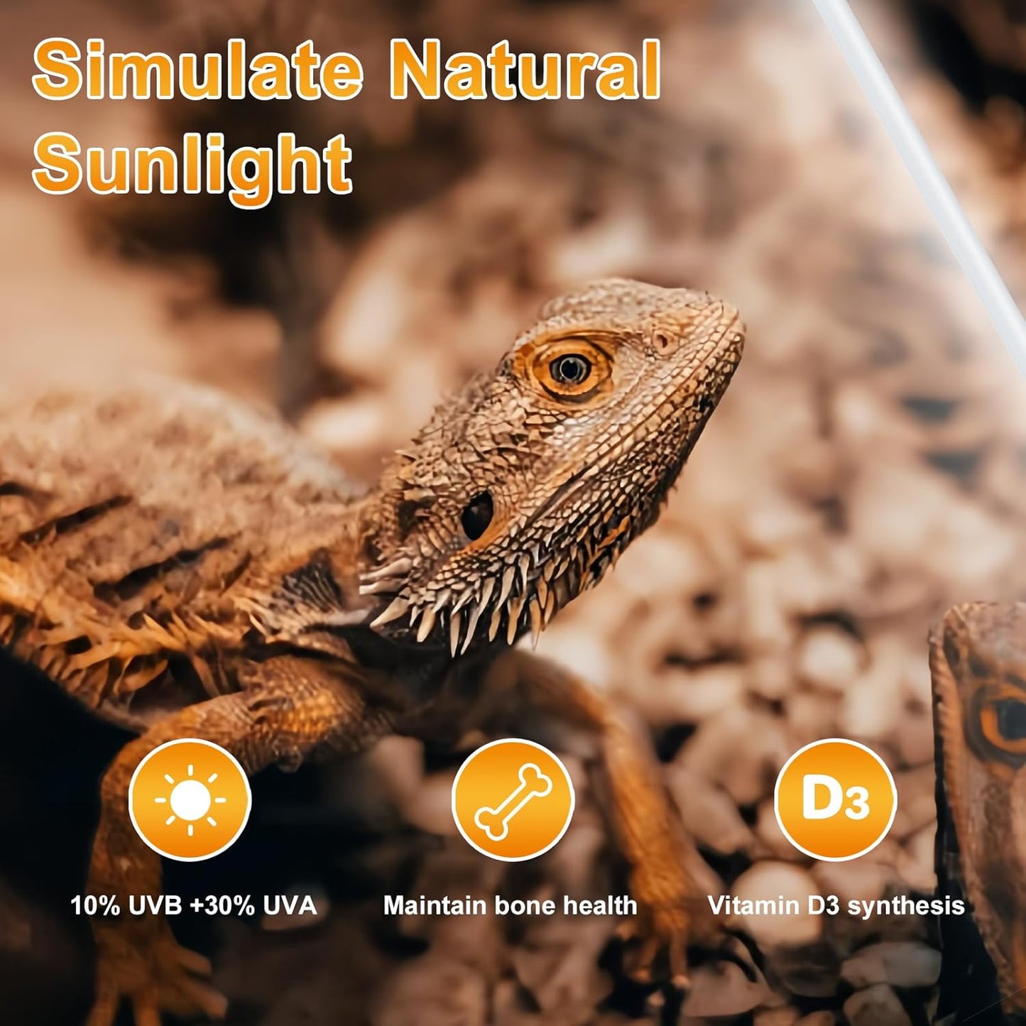 LUCKY HERP T8 18W UVB 10.0 Reptile Light, UVA UVB Reptile Light Bulb 2 Pack, Fluorescent Lamp for Reptiles Amphibians Lizards Chameleons