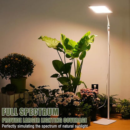 LED Grow Lights for Indoor Plants with Stand for Floor and Tabletop , Full Spectrum plant lights for indoor growing with Timer 4H/8H/12H, Plant light with 3 Lighting Mode & 10 Dimmable Brightness.