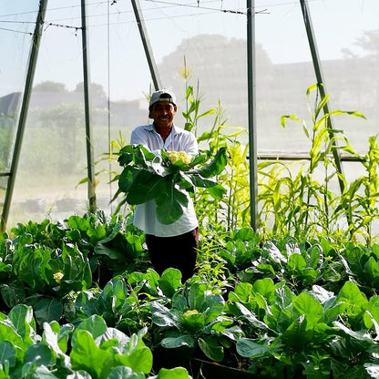 Garden Netting Pest Barrier: 8'x10' Fine Bug Netting for Garden Protection Row Cover Raised Bed Screen Mesh Greenhouse Mosquito Net, Protecting Tree Plants Vegetable Flowers Fruits