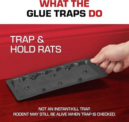 Tomcat Glue Traps Rat Size with Eugenol for Enhanced Stickiness, 2 Traps/Pack (12-Pack)