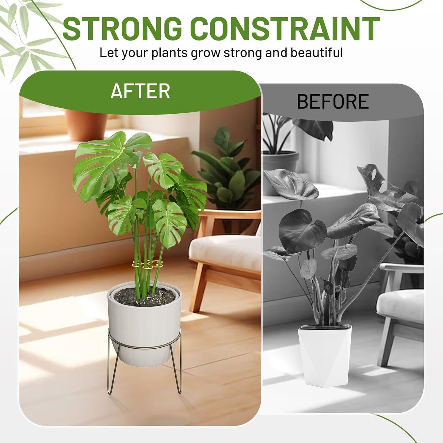 4PCS Iron Monstera Support, Uniquely Designed Plant Support Stakes for Indoor Plants, Stable Plant Stakes and Supports, Turtle Shell Bamboo Clamp Set for Thriving Growth