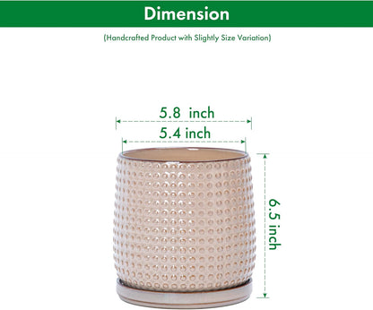 D'vine Dev 6 Inch Ceramic Beaded Stoneware Planter Pot - Flower Pot with Drainage Holes and Saucers for Indoor Succulent Plants or Flowers, Light Brown, 27-C-X-4