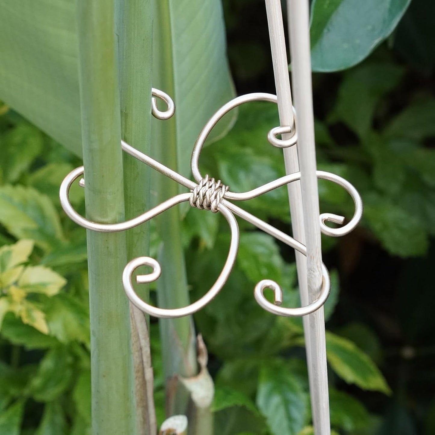 5PCS Monstera Plant Support System 4.1IN - Durable Hook Stem Supports for Healthy Growth, Stabilizer for Leaves and Turtle Shells, Easy-to-Use Indoor Plant Care, Ideal Present for Plant Lovers