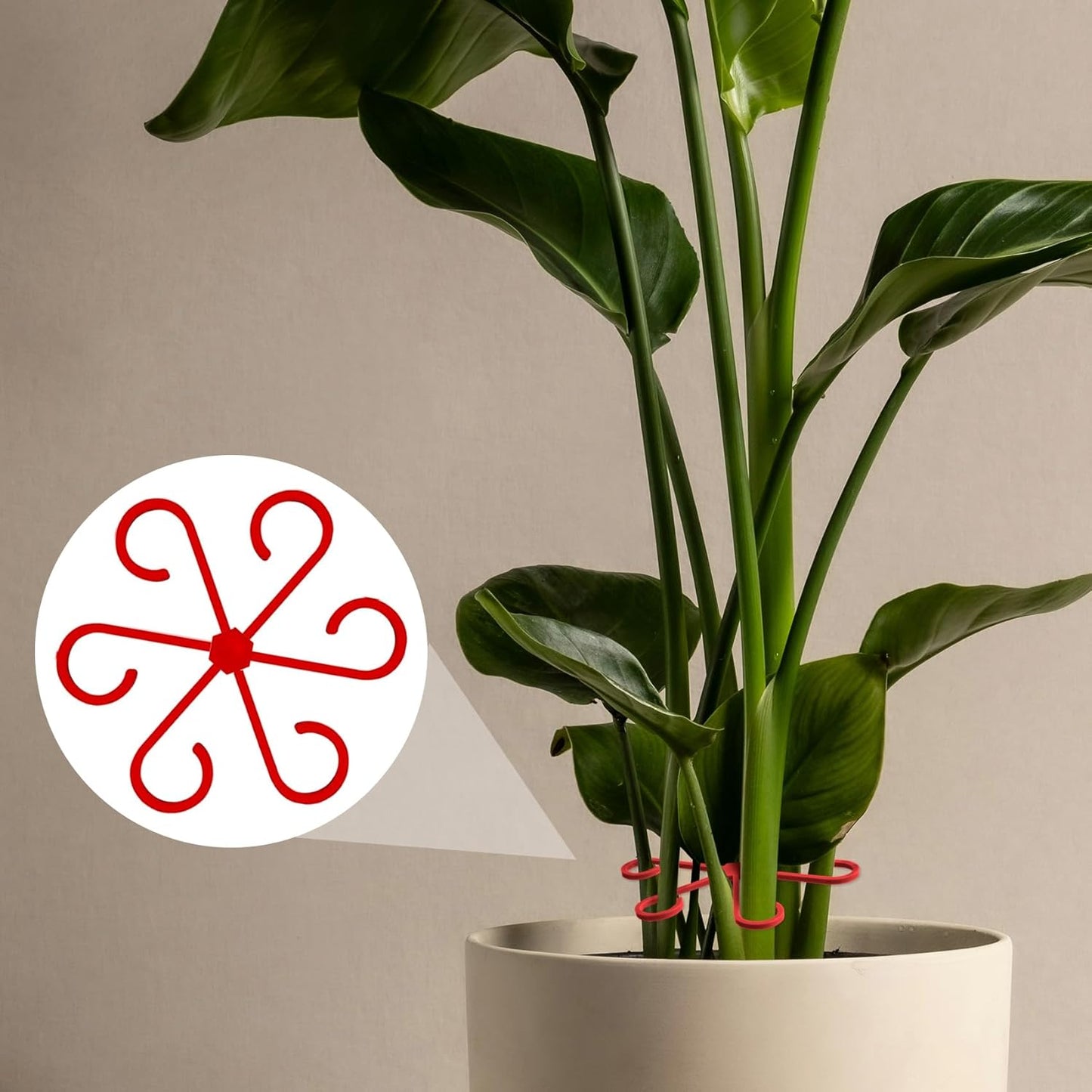 4PCS Plant Stem Support, 4 Sizes Climbing Houseplant Stem Holders, Plastic Reusable Flower Trellis Stem Hook Plant Care Growth Accessories for Flower Plants Indoor Outdoor- Red