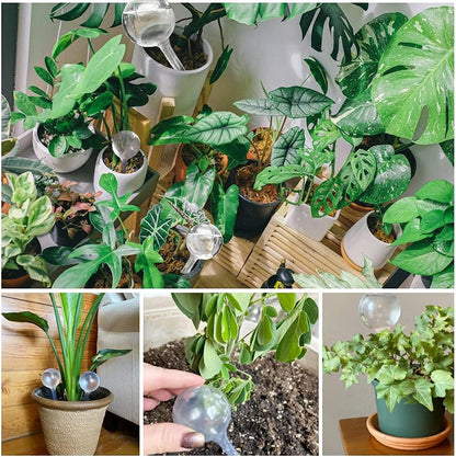 10 Pcs Clear Plant Watering Globes,Plastic Self-Watering Bulbs,Flower Automatic Watering Device,Garden Waterer for Plant Indoor Outdoor