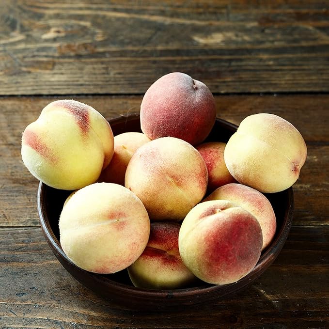 PERFECT PLANTS Snowbrite White Peach Tree 4-5ft. Tall | Full Crops with Only One Tree | Vibrant Pink Blossoms in Spring