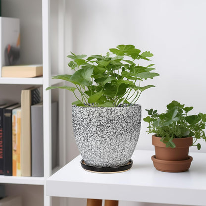 Ceramic Planter - 6 Inch Plant Pot for Indoor Ourdoor Plants, Round Succulent Planter, Decorative Flower Pots with Drainage Hole and Saucer, Home Desk Decor, Housewarming Gifts, White-Black