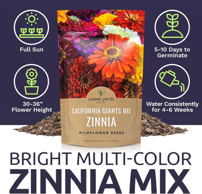 Bulk Zinnia Seeds - California Giants Mix - Bulk 1/4 Pound Bag Over 12,000 Flower Seeds - Mixed Colors and Large Blooms