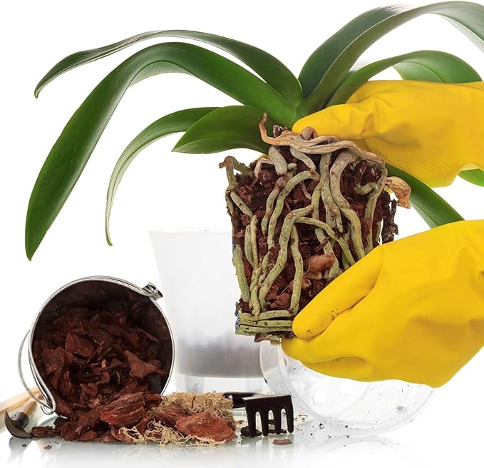 Pine Bark 10qt for Orchid Potting Mix, Organic Tree Bark Mulch for Potted Plants, Enhanced Drainage, Air Flow & Root Ventilation, Ideal for Phalaenopsis, Cattleyas, Dendrobiums